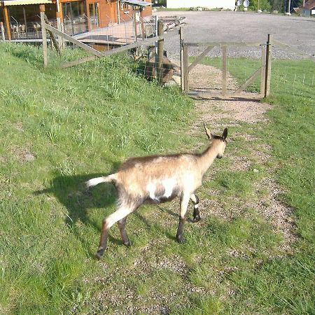 Les Gites De La Bergerie Xonrupt-Longemer Eksteriør bilde
